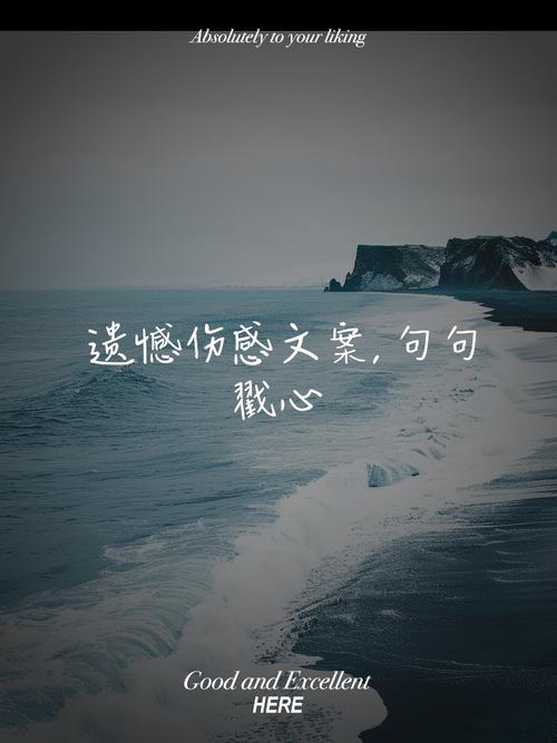 分享一些伤感、遗憾的短句语录  第1张