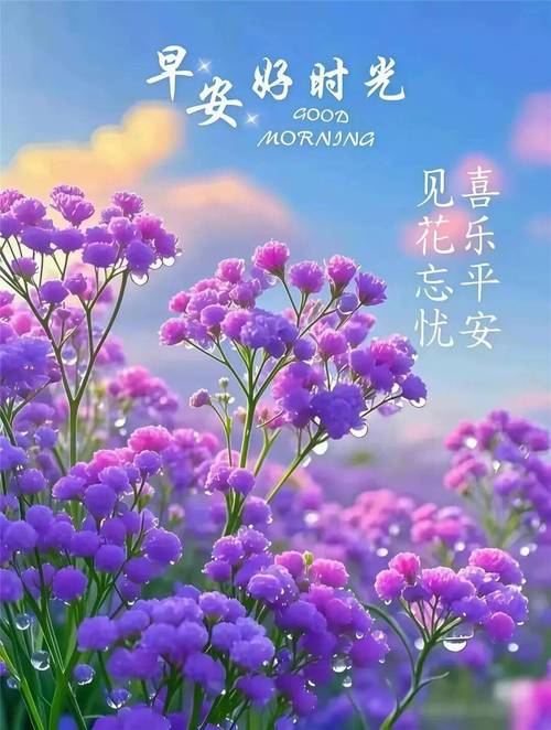 最新朋友圈早上好问候祝福图片带字温馨，正能量有哲理的励志短句  第1张