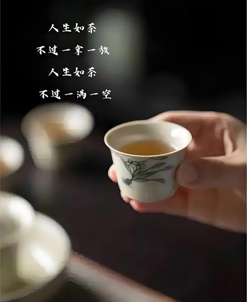 人生如茶，一半品浓淡温凉，一半品人间沧桑  第1张
