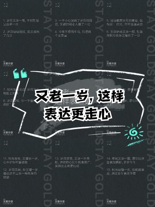 又老了一岁的经典句子 致又老了一岁的自己  第1张