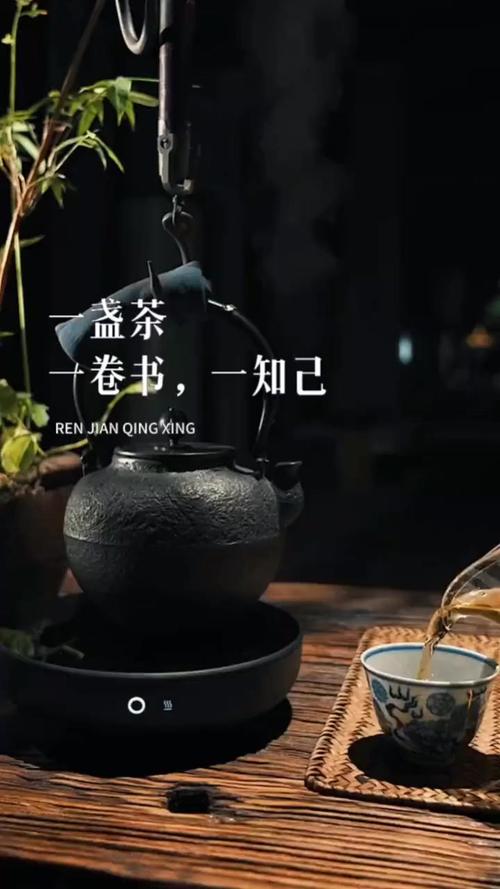一盏茶，一本书，一世芳华  第1张