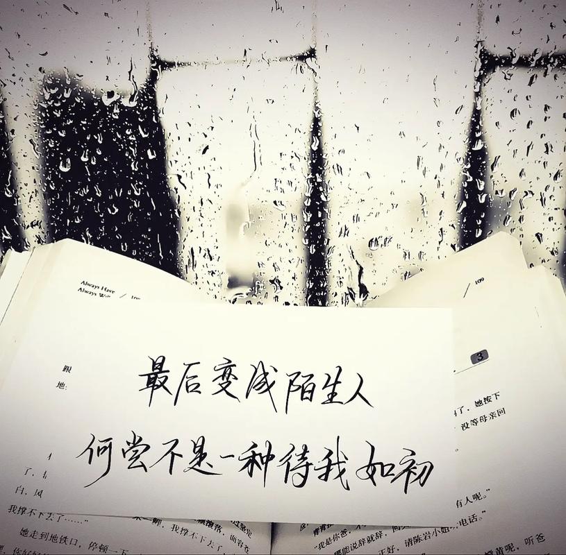 你永远不会爱我，每一次想你，我都得提醒我自己  第1张