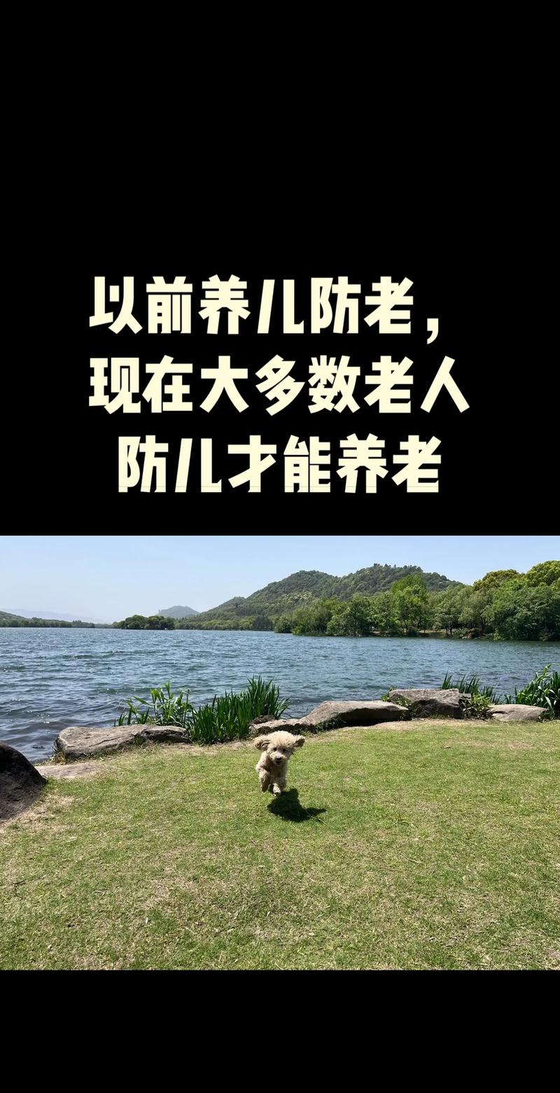 养儿防老，积谷防饥，养不教，父之过。  第1张