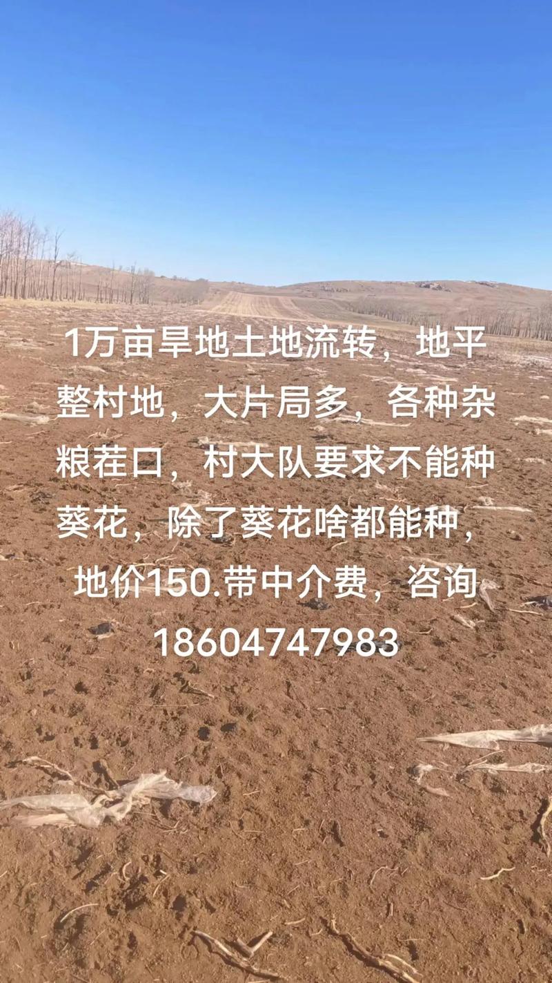 后期务农 （打一字）  第1张