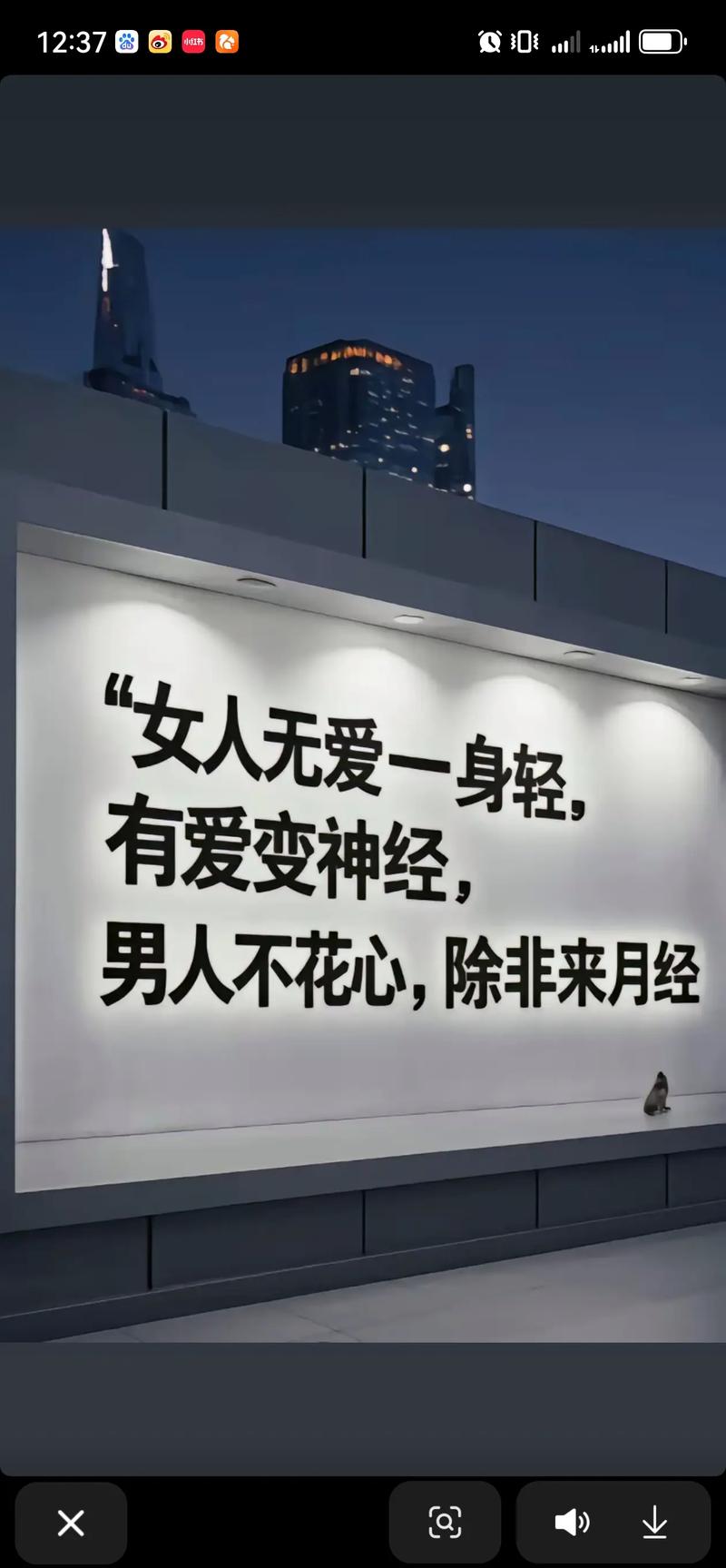 爱人先爱己，少说对不起  第1张