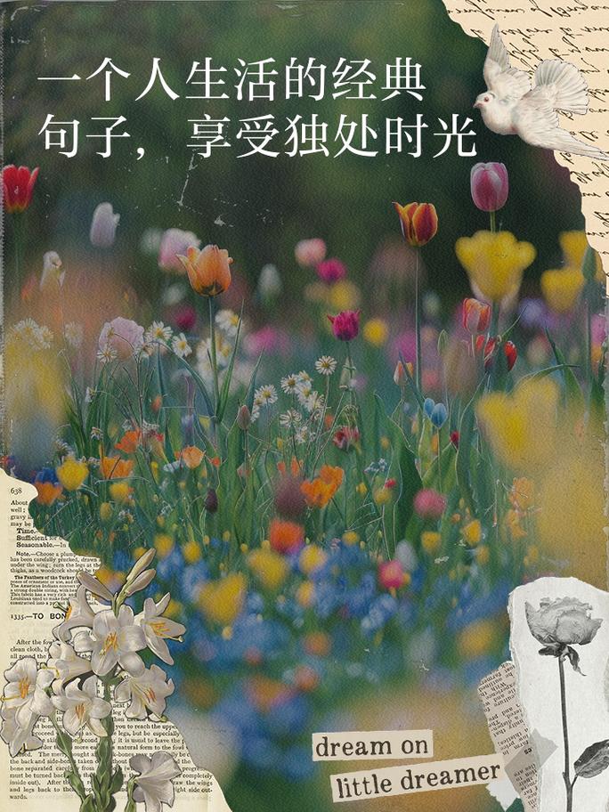 唯美短句语录：有人说，独处是美，沉默是金，在生命的进程中……  第1张