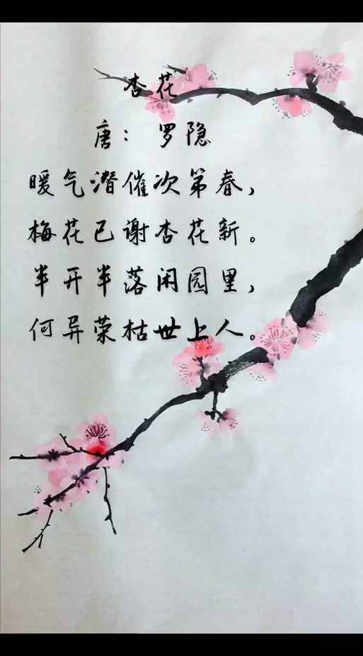 春暖人间，杏花香袭，胭脂万点美人腮，花开千朵似云霞  第1张