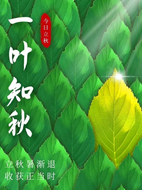 夏未尽，秋已至，一夜新凉，一骑秋风  第1张