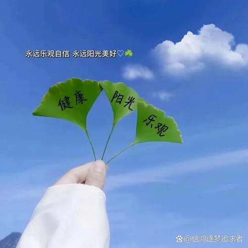 生命律动，心情自会不同，你的美景在心中  第1张