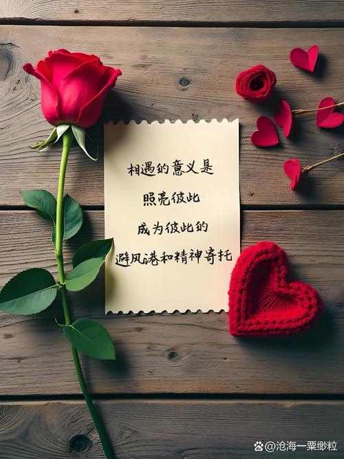 在岁月的长河中珍惜每一份真挚的爱情，用心去感受生活中的美好  第1张