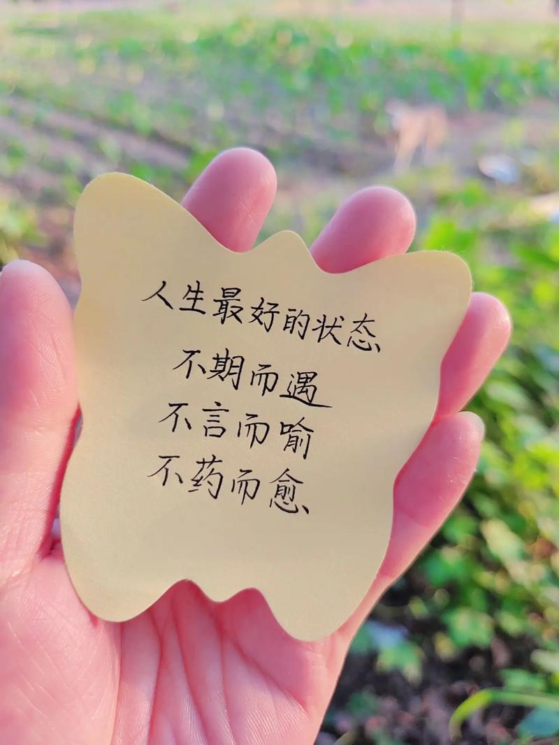 散文：醉美人间，不负春光，不负遇见，人生所遇皆是美好  第1张