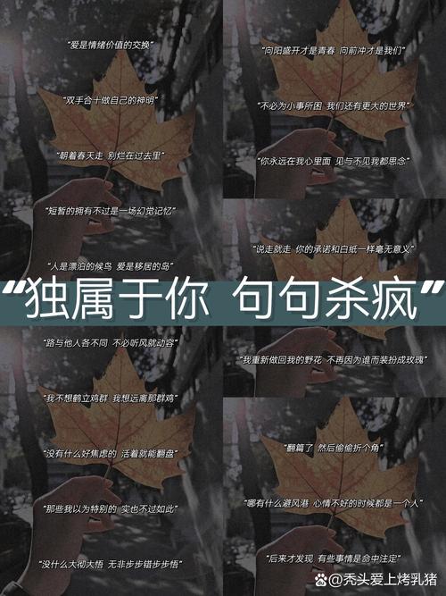 微信最近很火的心情短句，你给的伤，连微笑都掩饰不了  第1张