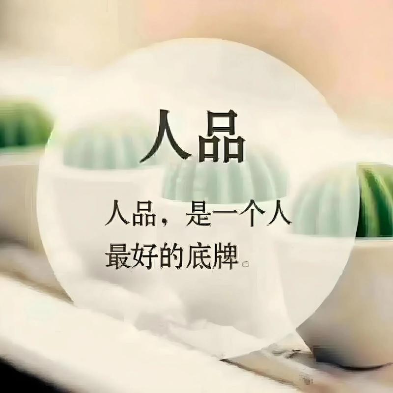 人与人相处，合于性格，久于善良，忠于人品；好人品，才有好人生  第1张