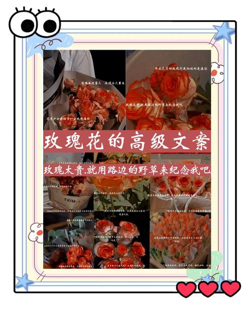 关于养花的唯美朋友圈文案，有感而发，说到心坎！  第1张