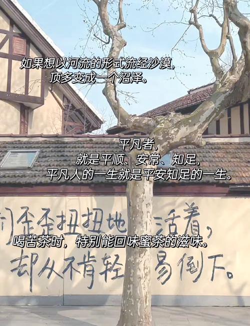 人间至美是清欢 | 林清玄经典语录，句句美到落泪  第1张