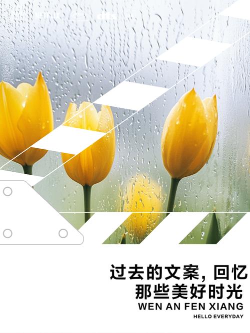 时光不语，岁月静好，怀念相遇相聚的美好时光  第1张