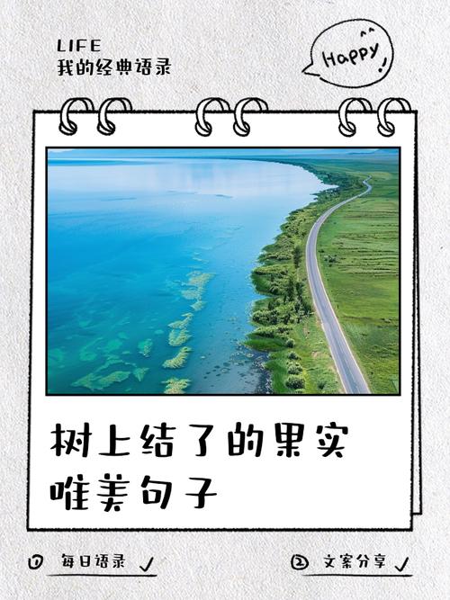 果子语录：一百四十一  第1张