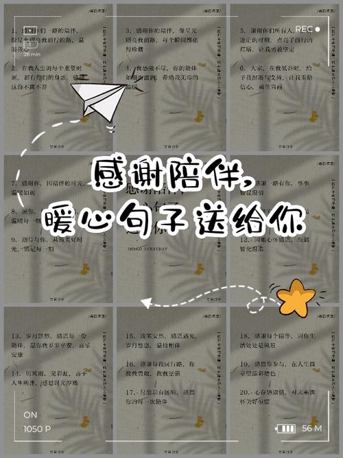 关于陪伴的短句——谁不需要陪伴？  第1张
