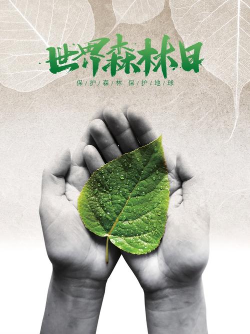 世界森林日 | 每一片新绿都值得被赞颂  第1张