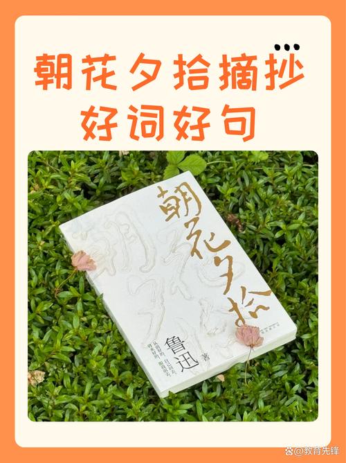 每日一本好书《朝花夕拾》经典作品  第1张