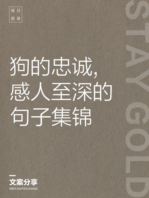 40个写材料关于忠诚的好句子  第1张