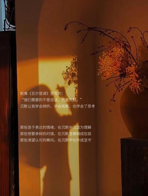 沉默是金，有的时候保持沉默比争辩更管用  第1张