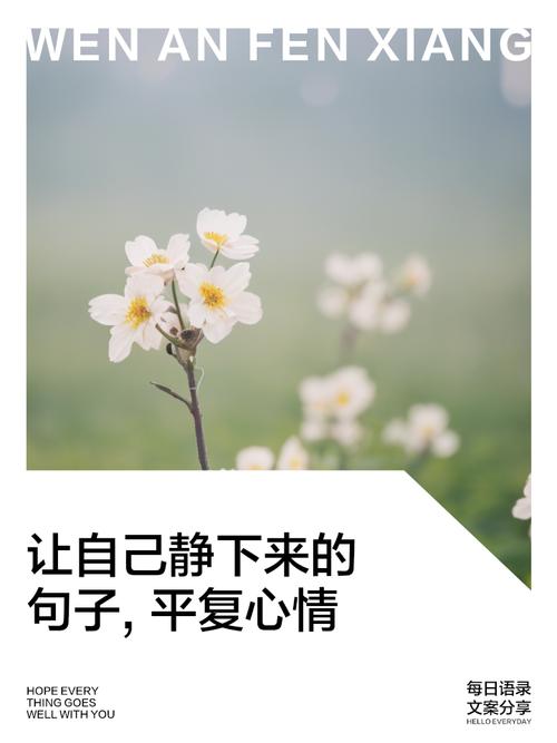 减压放松心情的句子，放空心灵，迎接内心的宁静  第1张