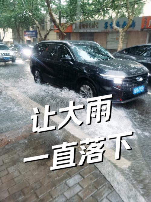 下了好几天的雨  第1张