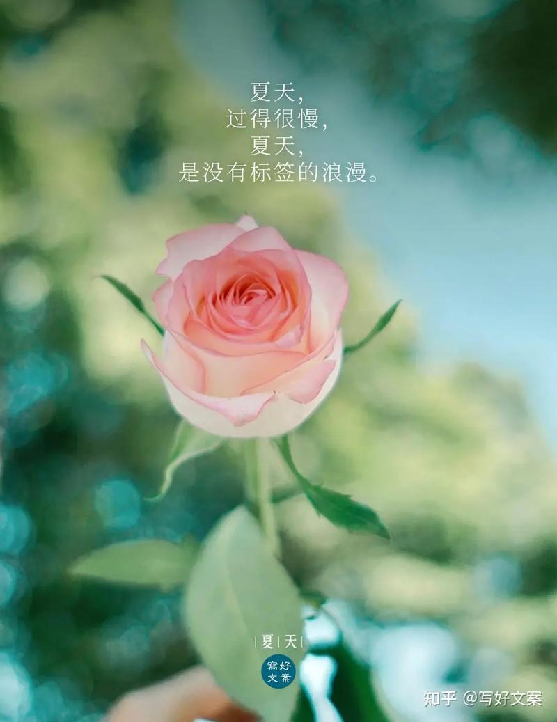 温暖妥帖，岁月静好。  第1张