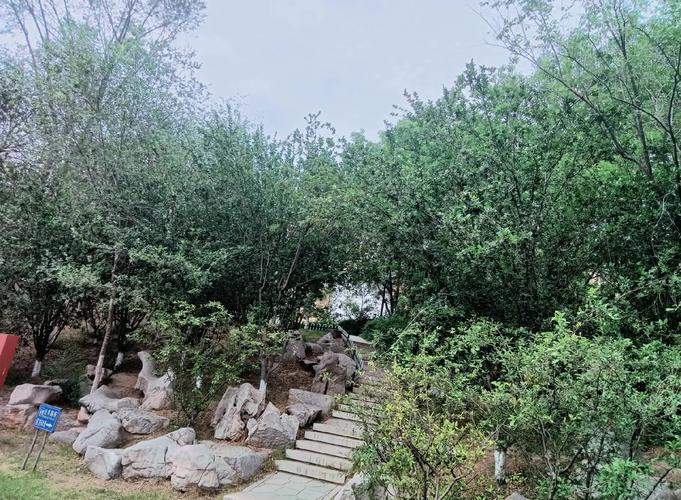 熟悉的地方有风景  第1张