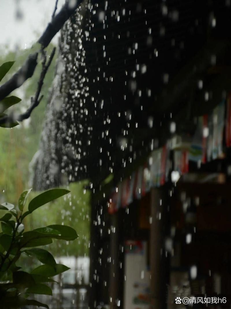 春雨煎茶，听雨看花  第1张