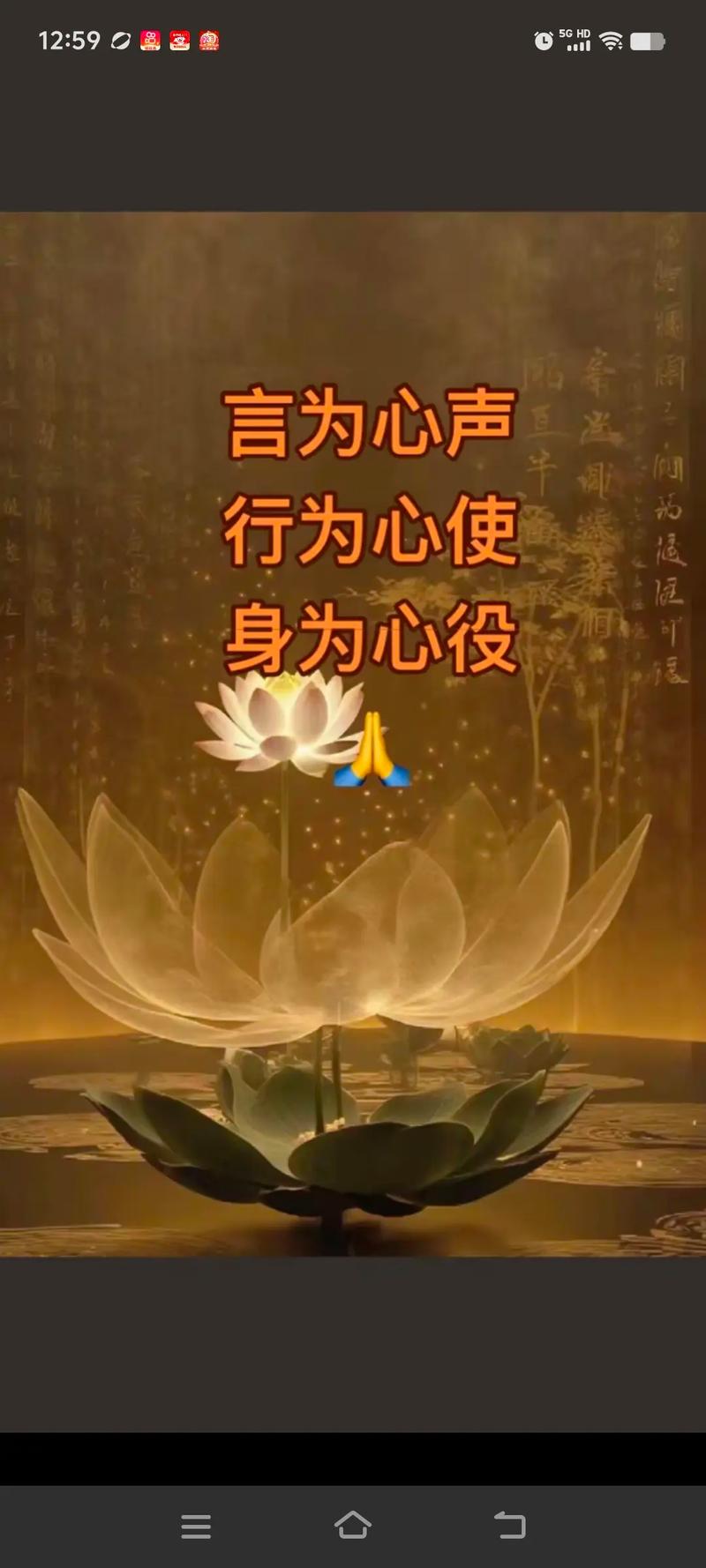 句句让人心静的佛心禅语,一句禅语点透人生! 第1张 句句让人心静的佛心禅语,一句禅语点透人生! 第1张