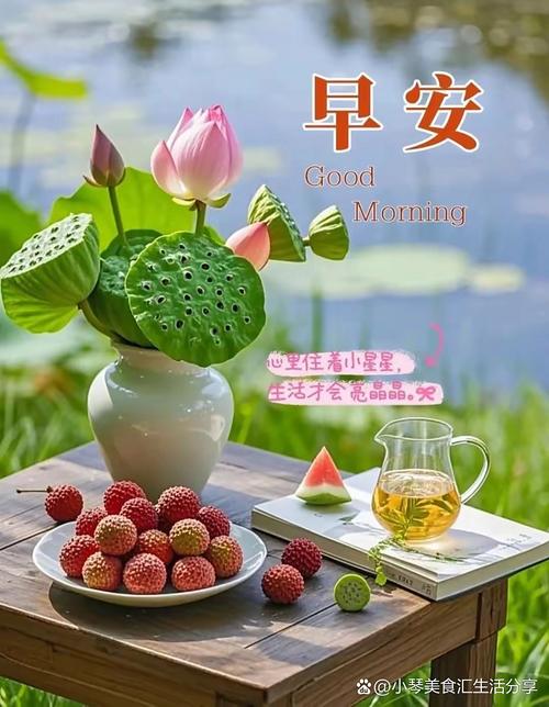 「早安心语」阳光温热，岁月静好，面朝大海，心似莲花朵朵开  第1张