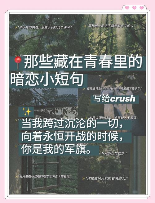 文案句子:离开校园,温柔岁月 第1张 文案句子:离开校园,温柔岁月 第1张