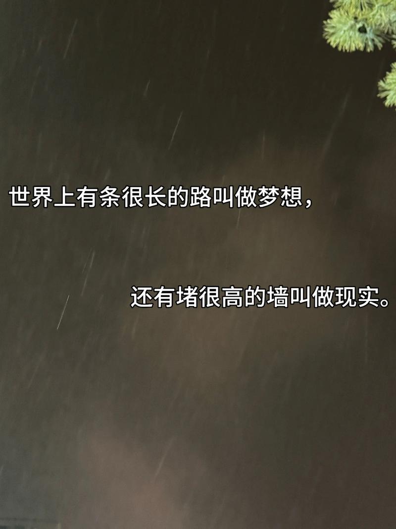 人生的道路上并不平坦，但只要心中有梦想，就永远不会迷失方向  第1张