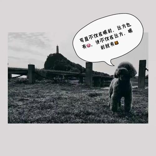 只愿，十月与七月不只是传说。  第1张