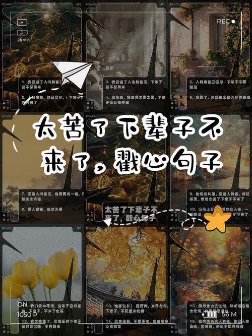 心酸语录..我原先以为人只会苦一阵子，没想到可能会苦一辈子。  第1张