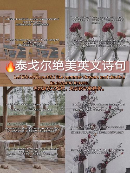 7首中外名人英文诗歌，值得收藏  第1张