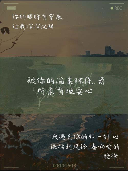 最含蓄智慧的表白,送给“单身狗”的你 第1张 最含蓄智慧的表白,送给“单身狗”的你 第1张