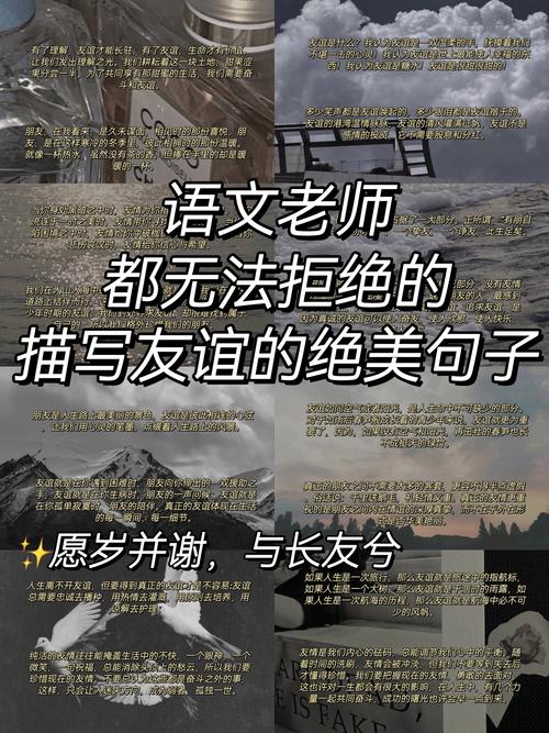 关于友谊的名人名言、警句  第1张