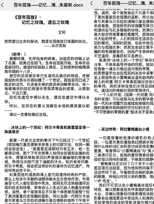 百年人生的缩影：通读《百年孤独》带来的人生思考与感悟  第1张