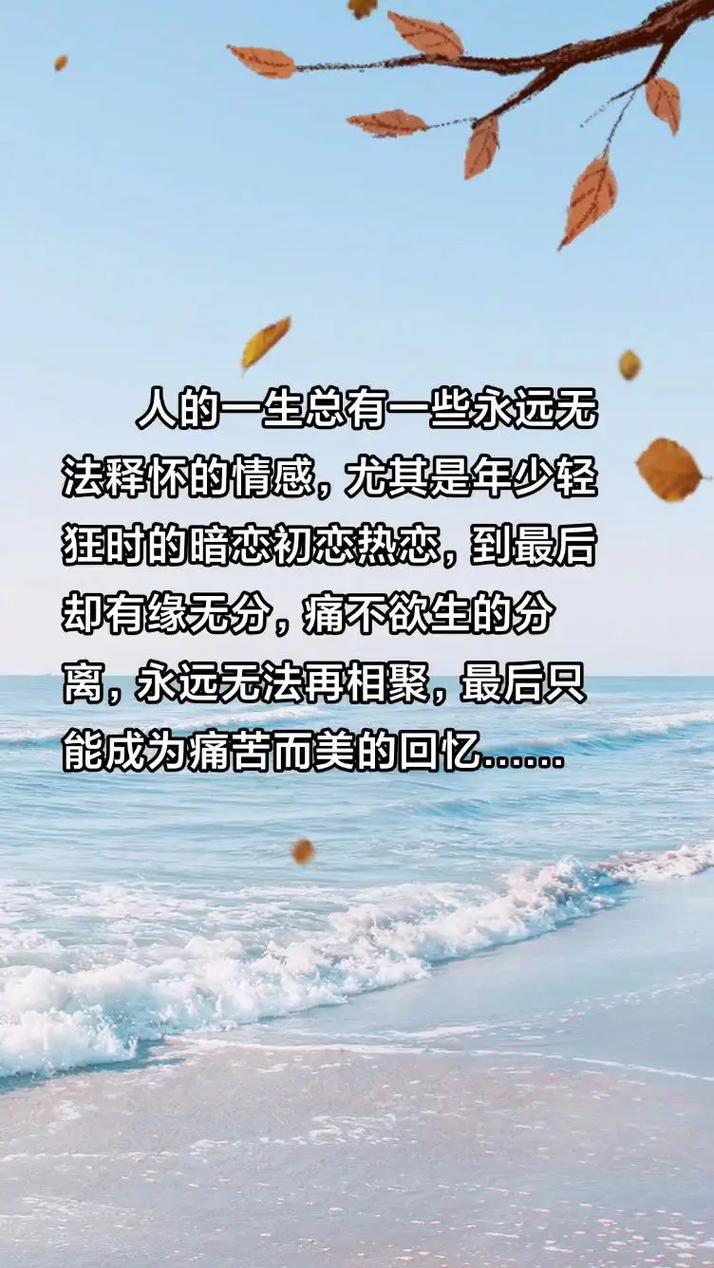 这一年的各种情感观碎碎念 第1张 这一年的各种情感观碎碎念 第1张