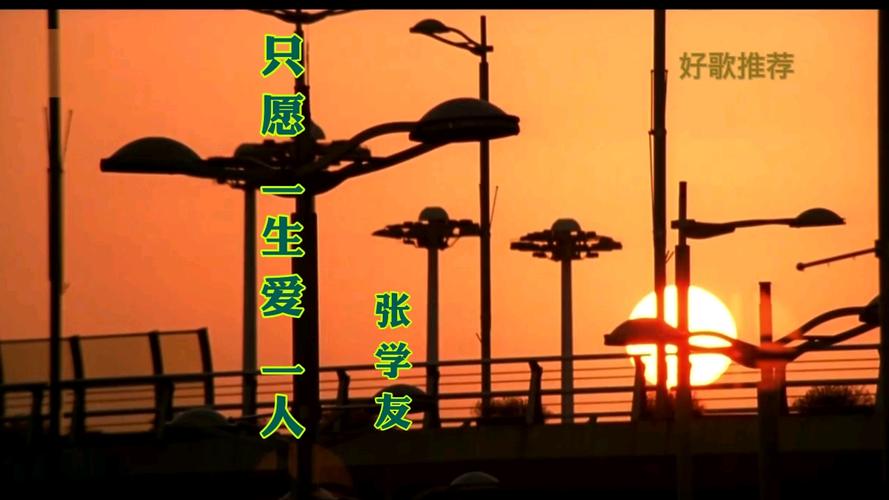 只愿一生爱一人  第1张