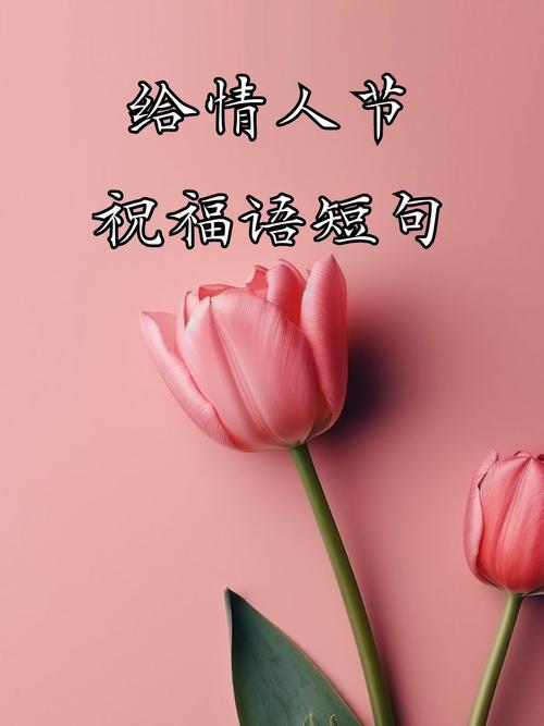 情人节送给心上人的暖心情话，唯美浪漫，句句撩人！  第1张
