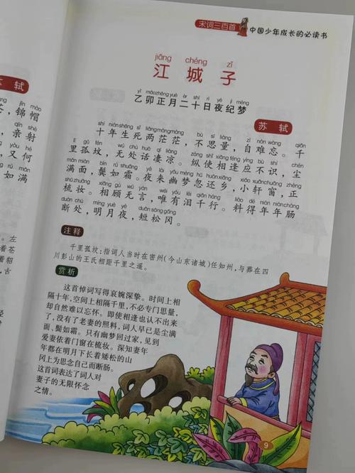 宋词名家名篇三十首。  第1张