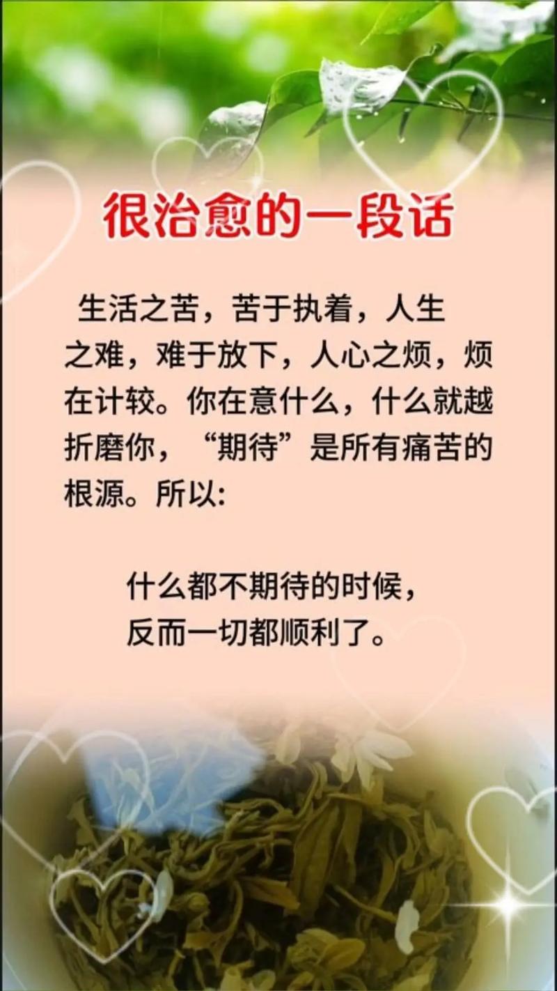 读了这些与人生相关的句子，你还能放弃自己吗  第1张