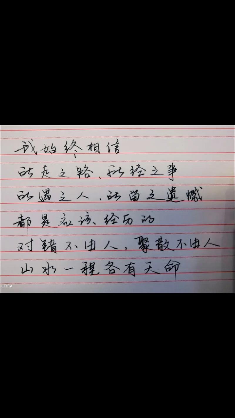 对错不由心，聚散不由人  第1张