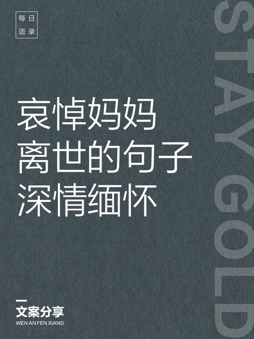 追悼我的母亲/平凡如何伟大  第1张