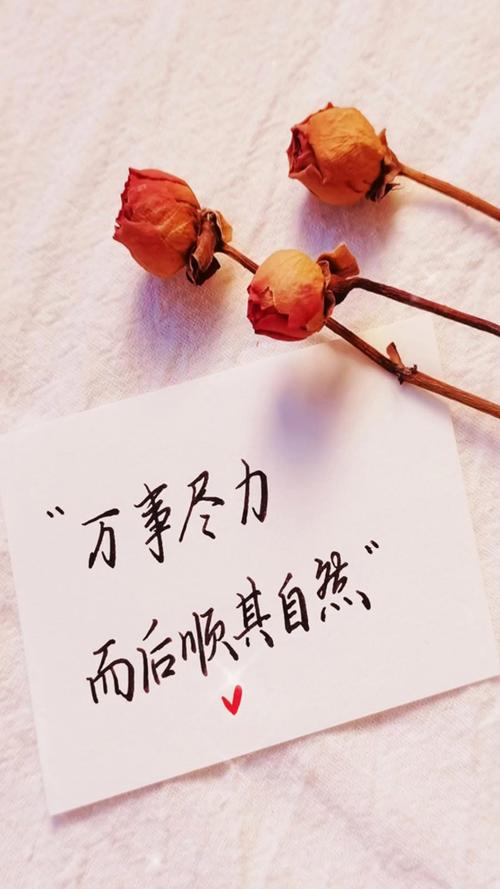 凡事顺其自然吧。  第1张