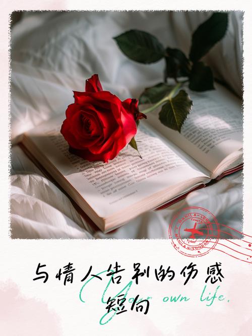 唯美伤感句子：爱情总是想象比现实美丽，相逢如是，告别亦如是  第1张